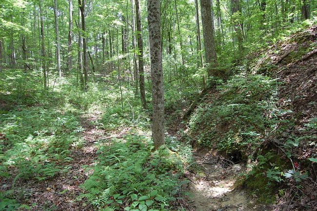10 Laurel Brook Rd, Home with 0 bedrooms, 0 bathrooms and null parking in Dunlap TN | Image 14
