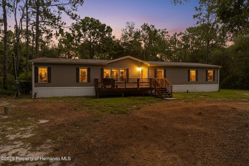 17155 Dalberg Dr, Shady Hills, FL, 34610-7373 | Card Image