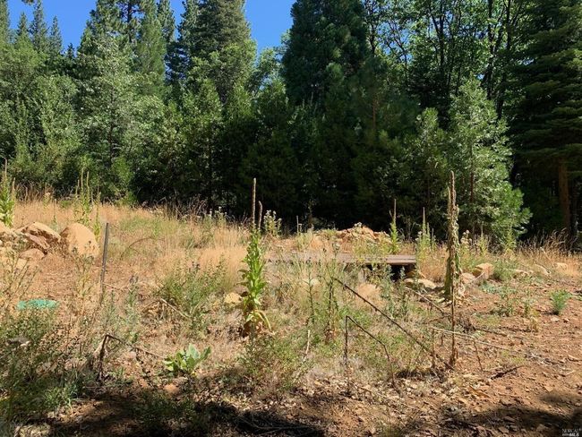 103 Lewis Ln, Home with 0 bedrooms, 0 bathrooms and null parking in Sierra City CA | Image 5
