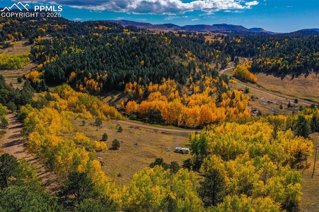 Land in Cripple Creek 4