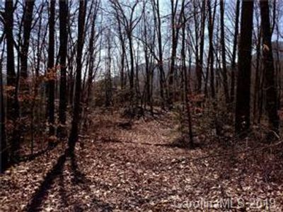 78 - Lot 78 Phase 3 Hemlock Falls Road, Home with 0 bedrooms, 0 bathrooms and null parking in Sylva NC | Image 3