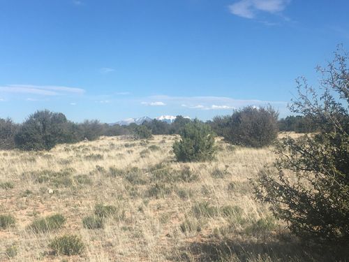 8559 Mineral Wells Rd, Williams, AZ, 86046 | Card Image