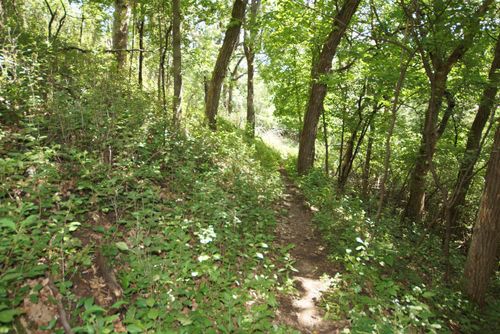 19 Proctor Rd Nw, Elk River, MN, 55330 | Card Image