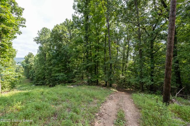 7 Vanmeter Cemetery Rd, Home with 0 bedrooms, 0 bathrooms and null parking in Bee Spring KY | Image 32