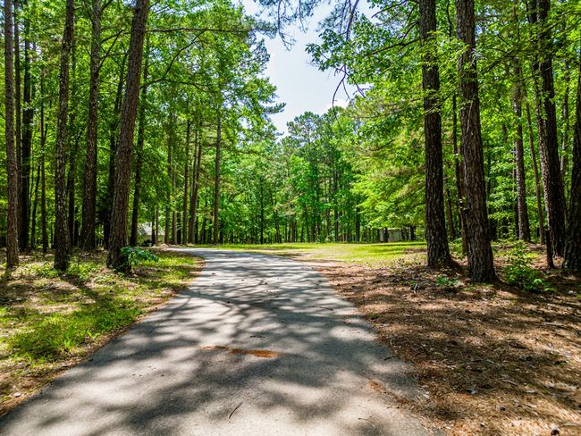2491 Reids Ferry Rd, House other with 4 bedrooms, 4 bathrooms and 2 parking in Buckhead GA | Image 8