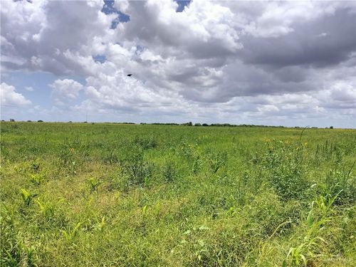 0000 Fm 490, La Sara, TX, 78561 | Card Image
