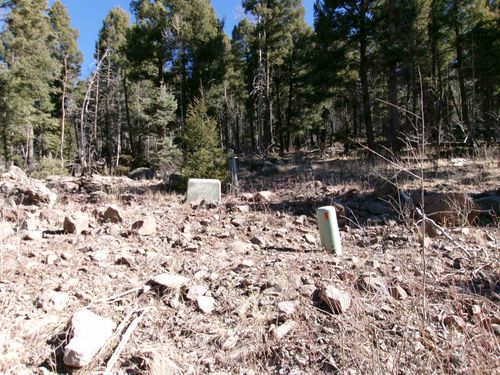1119 El Camino Real Lot 1119 Nm, Angel Fire, NM, 87710 | Card Image