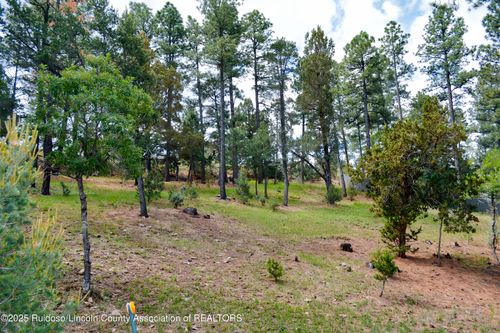 5-215 Midiron Rd, Alto, NM, 88312-8045 | Card Image