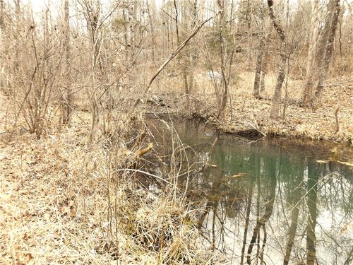 100217002 Tower Ln, Calico Rock, AR, 72519 | Card Image