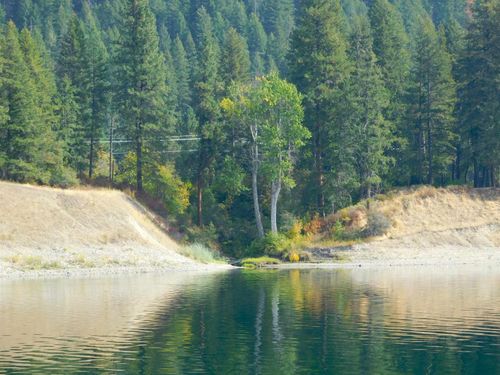 XX 20 Hwy, Cusick, WA, 99119 | Card Image