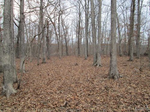 0 Mo-30 Gravois Rd. 6 Ac, St Clair, MO, 63077 | Card Image
