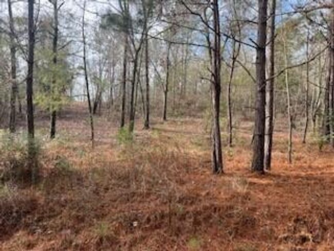3365 Columbia Hwy N, Home with 0 bedrooms, 0 bathrooms and null parking in Ridge Spring SC | Image 10