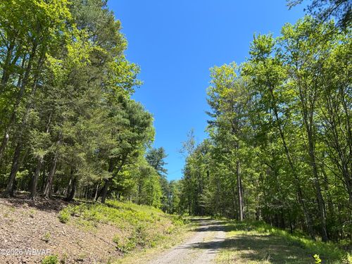 PARCEL 112 Tallman Hollow Rd, Montoursville, PA, 17754 | Card Image