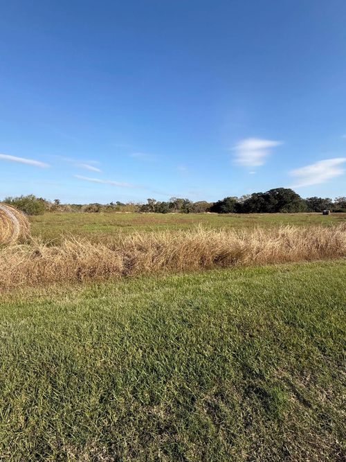 000 River Hollow Way, Blessing, TX, 77419 | Card Image