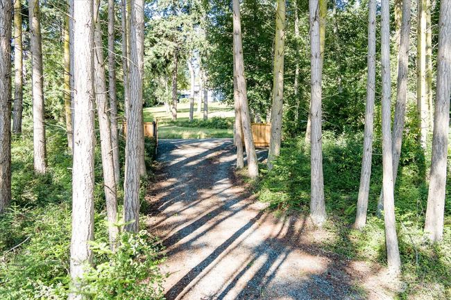 Looking back at gated entry | Image 12