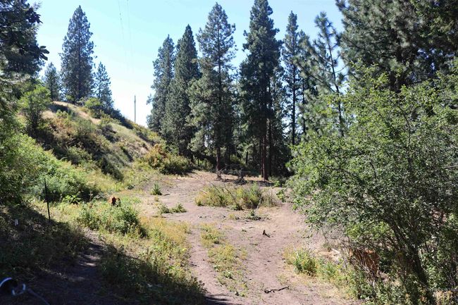 View of undeveloped land | Image 43