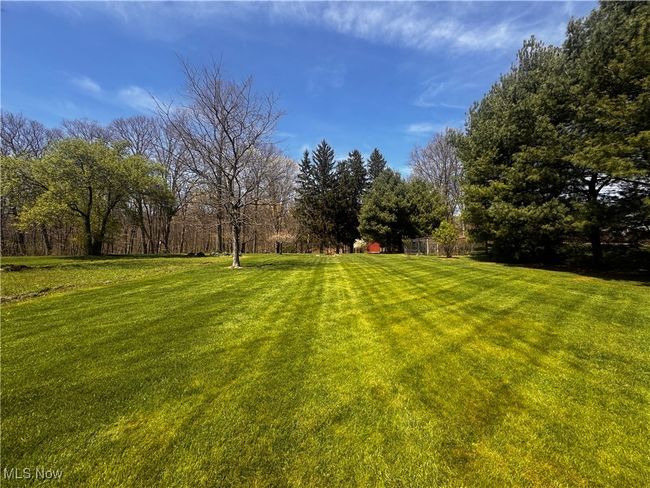 View of yard | Image 37