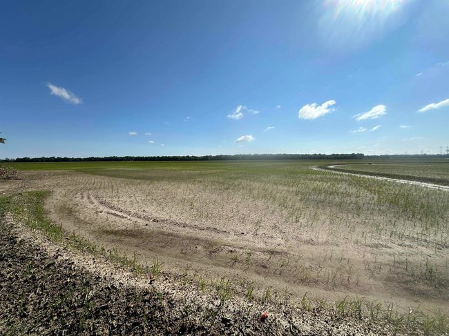 0 Ukena Rd, Home with 0 bedrooms, 0 bathrooms and null parking in Weiner AR | Image 21