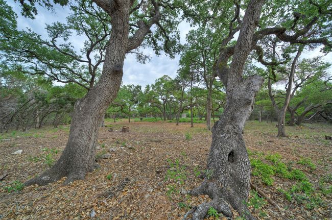 11916 Jim Bridger Dr, Home with 0 bedrooms, 0 bathrooms and null parking in Austin TX | Image 33