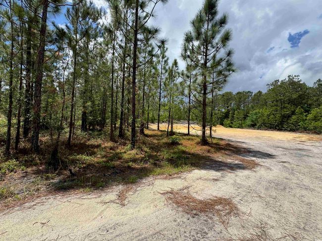 1698 Carriage Dr, Home with 0 bedrooms, 0 bathrooms and null parking in Loris SC | Image 11