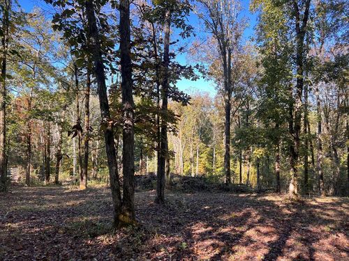 Lot 19 Shoreside Dr, Smithville, TN, 37166 | Card Image