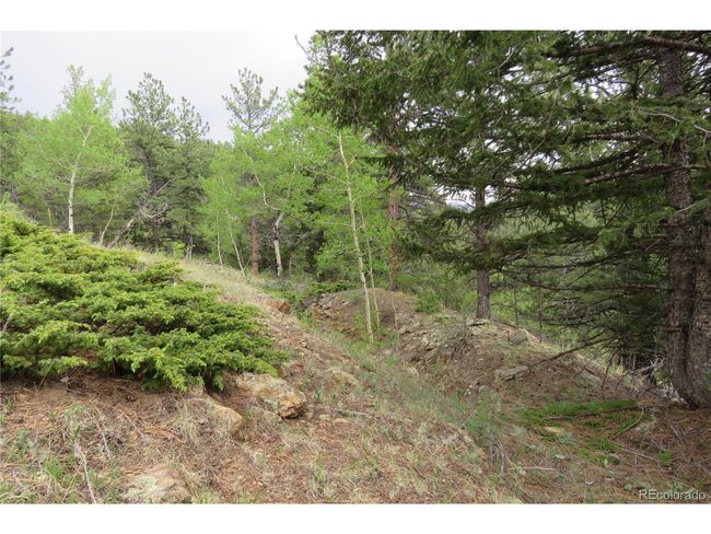 0 Come And See Mine, Home with 0 bedrooms, 0 bathrooms and null parking in Central City CO | Image 24