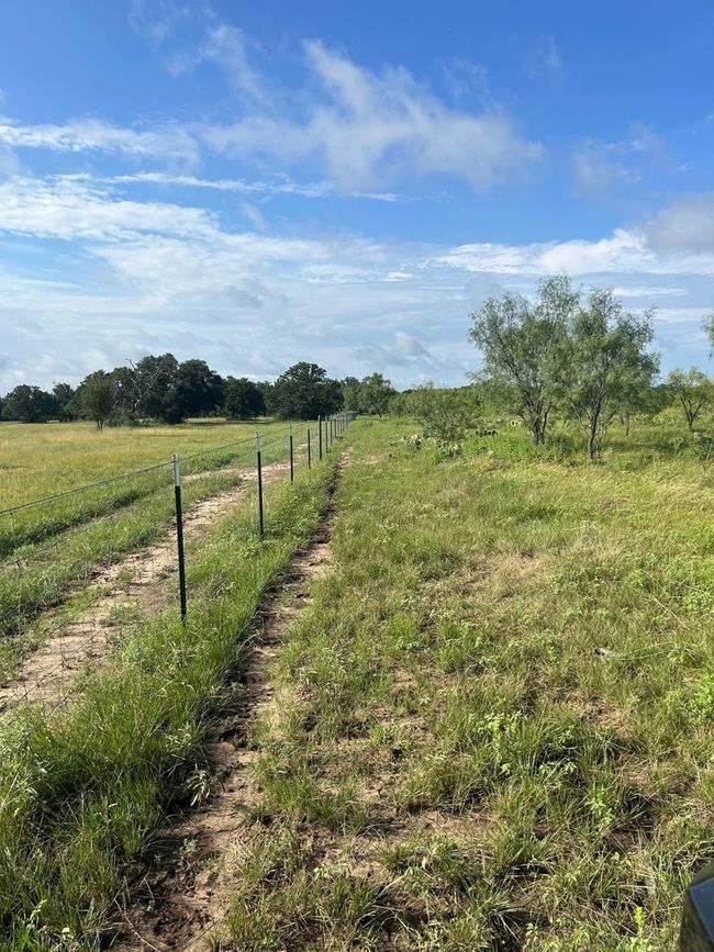 East Fence Line of 20+- Acres | Image 6