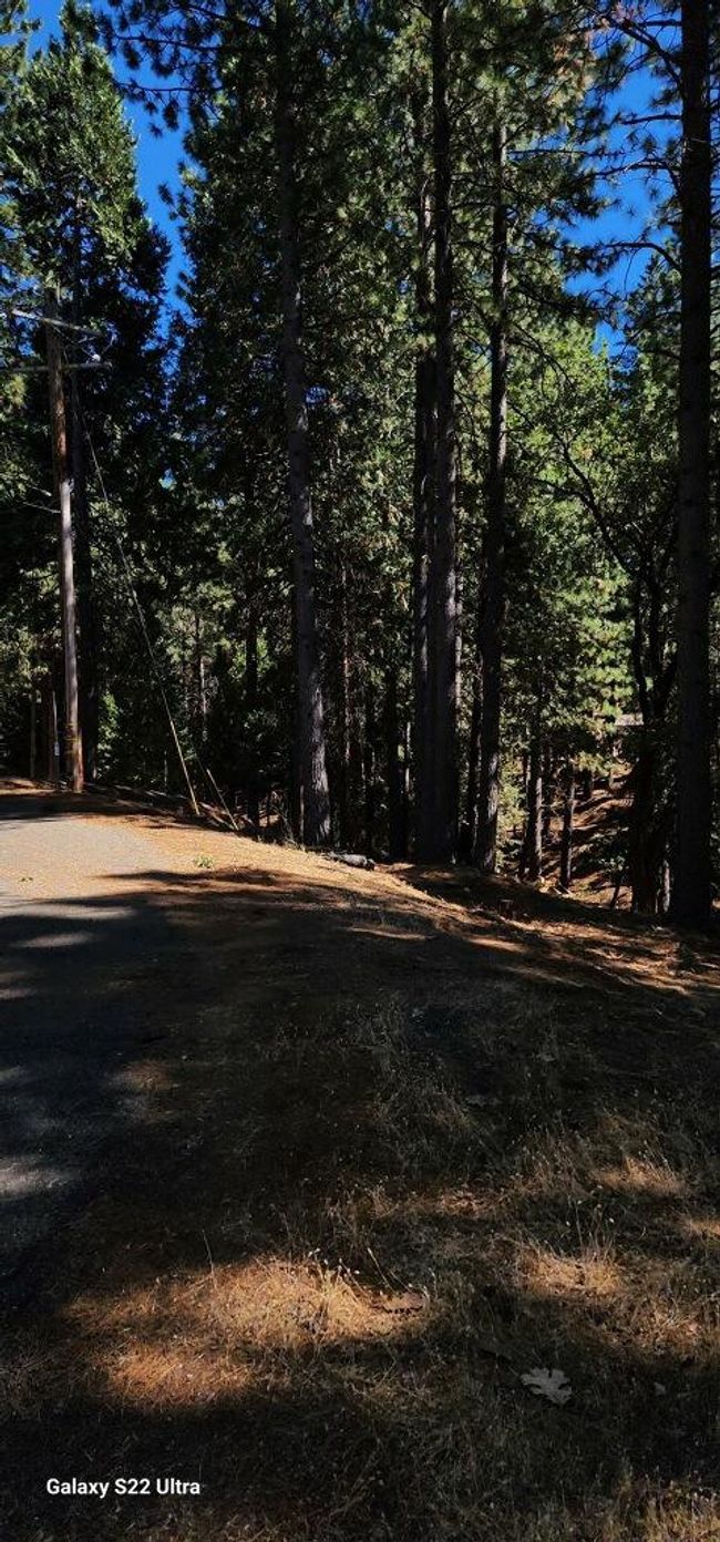 5701 Lupin Lane, Home with 0 bedrooms, 0 bathrooms and null parking in Pollock Pines CA | Image 4