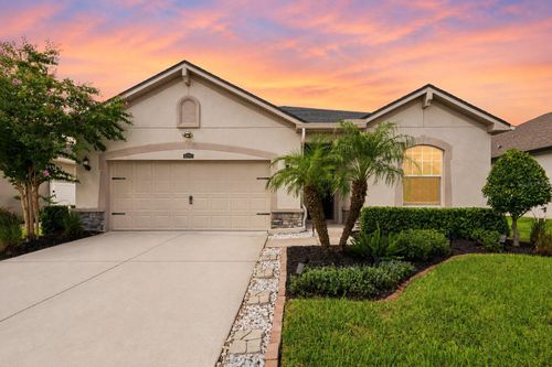 12943 Satin Lily Dr, RIVERVIEW, FL, 33579-9368 | Card Image