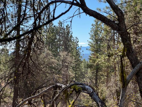 1-0 Chamois Ln, Bonanza, OR, 97623 | Card Image