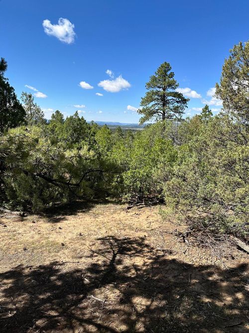 99 Private Drive 1781a, Chama, NM, 87520 | Card Image