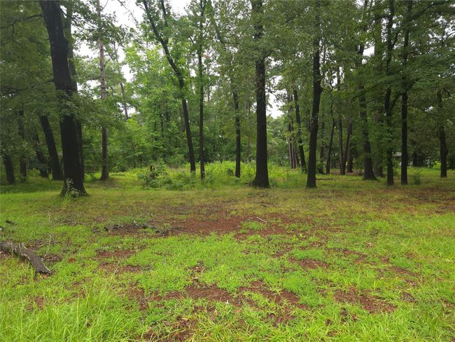 208 Mountain View Dr, Home with 0 bedrooms, 0 bathrooms and null parking in Daingerfield TX | Image 7