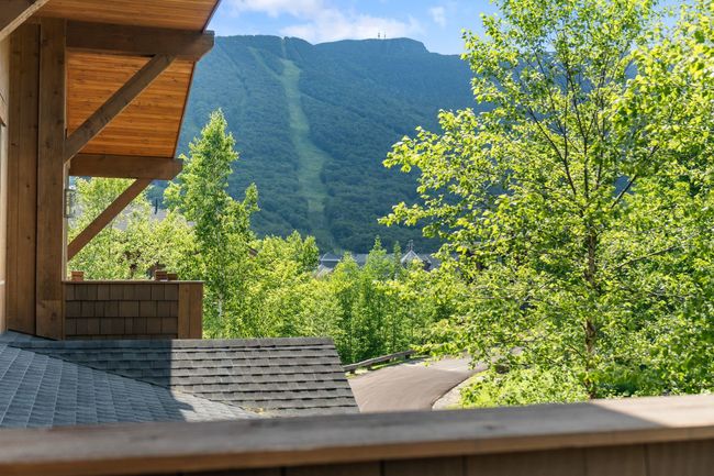 1 - 29 Nosedive Dr, Condo with 4 bedrooms, 6 bathrooms and null parking in Stowe VT | Image 20