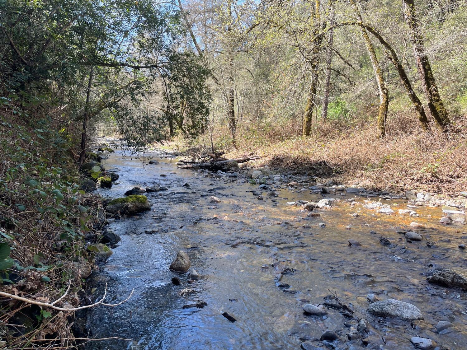 Land in Sutter Creek 5