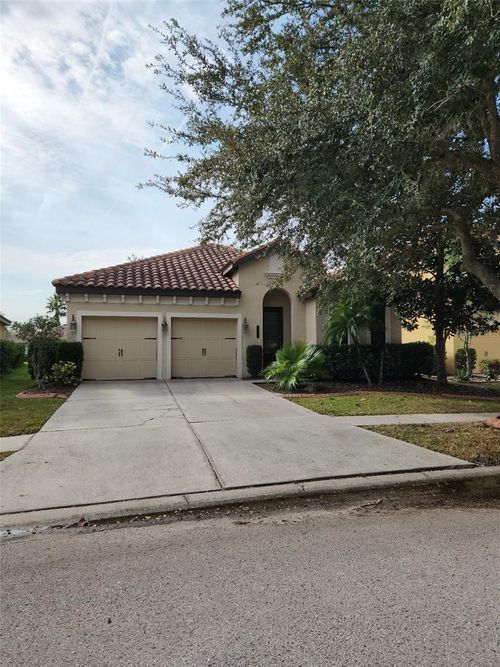 20311 Chestnut Grove Dr, Tampa, FL, 33647-3345 | Card Image