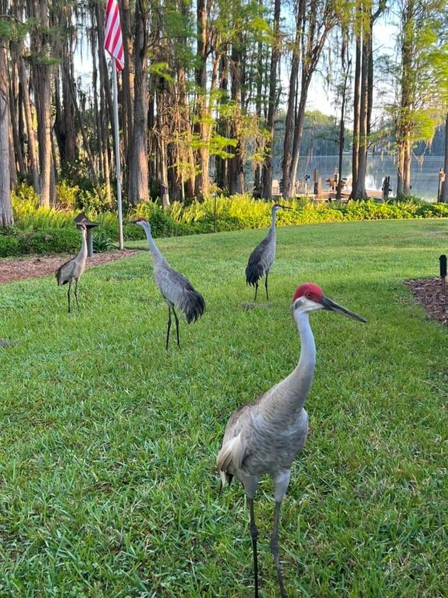820 Newberger Rd, House other with 3 bedrooms, 2 bathrooms and null parking in LUTZ FL | Image 28