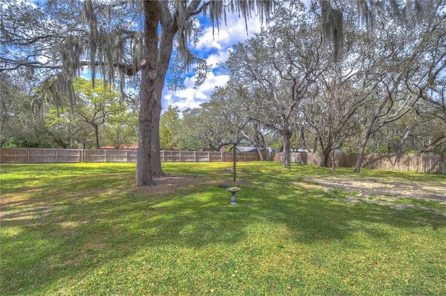 Back yard | Image 65