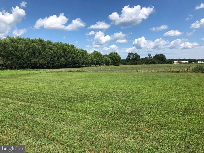 34288 Wango Rd, Home with 3 bedrooms, 2 bathrooms and null parking in PARSONSBURG MD | Image 28