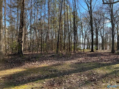 Lot 11 Barnett Rd, Rogersville, AL, 35652 | Card Image