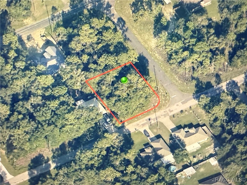 Land in Citrus Springs 5