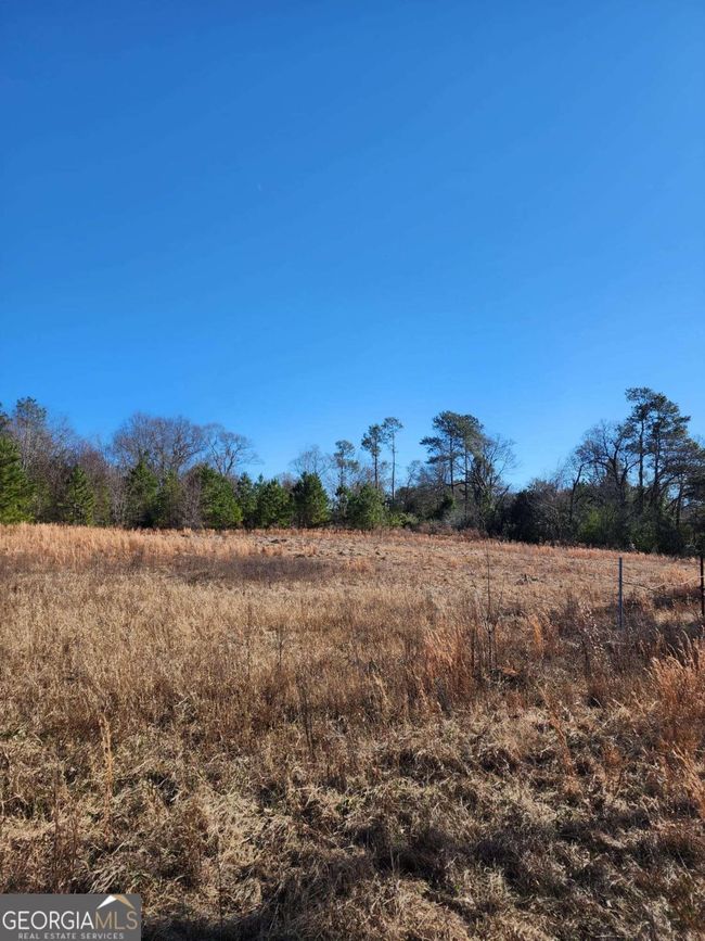 9474 Broad St, Home with 0 bedrooms, 0 bathrooms and null parking in Avera GA | Image 55