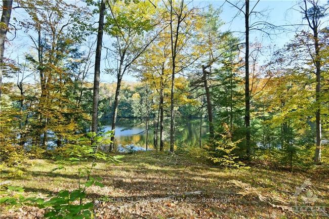 2255 A Calabogie Rd, Home with 0 bedrooms, 0 bathrooms and null parking in Burnstown ON | Image 4