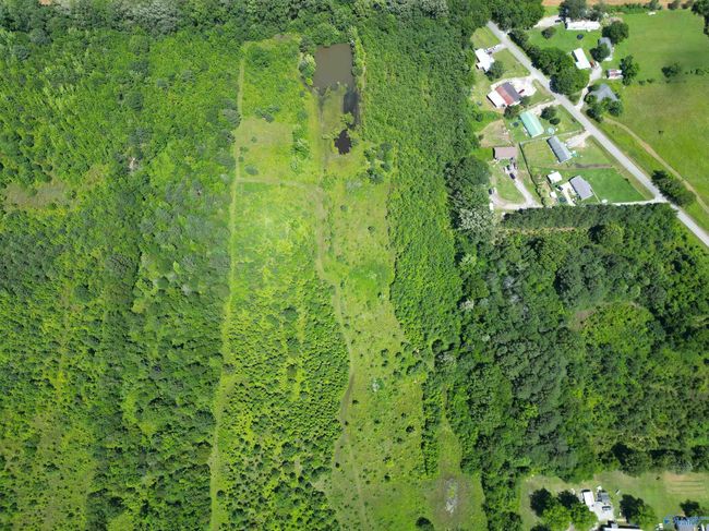 14 Acres Beaver Creek Rd, Home with 0 bedrooms, 0 bathrooms and null parking in Laceys Spring AL | Image 21