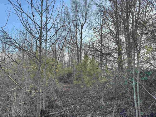 TBD County Road 4740, Mount Pleasant, TX, 75455 | Card Image