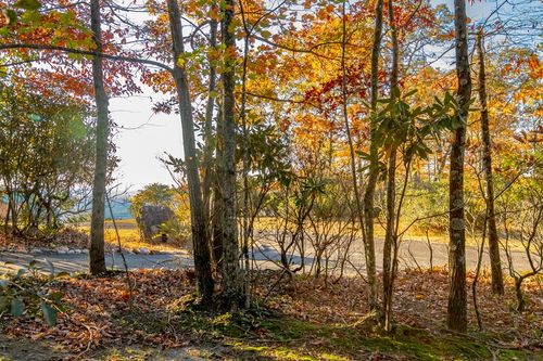 Lot 41 Moonlight Ln, Fancy Gap, VA, 24328 | Card Image