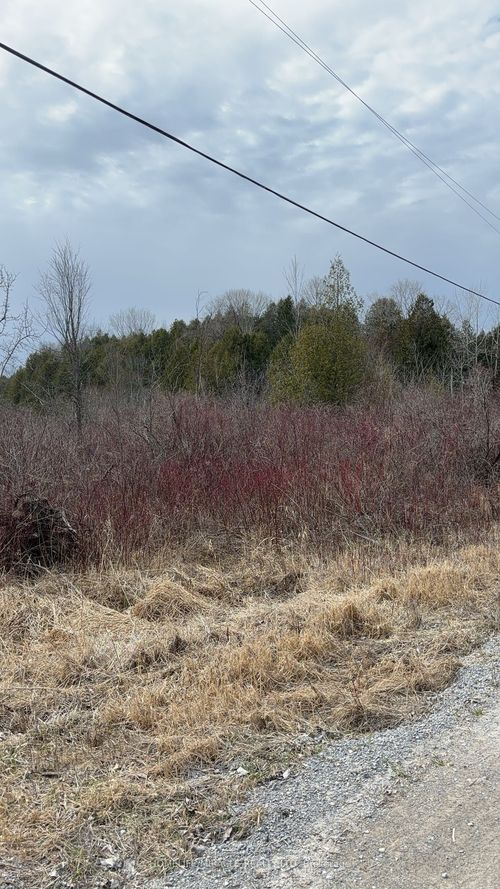 746 Hogs Back Rd, Marlbank, ON, K0K2L0 | Card Image