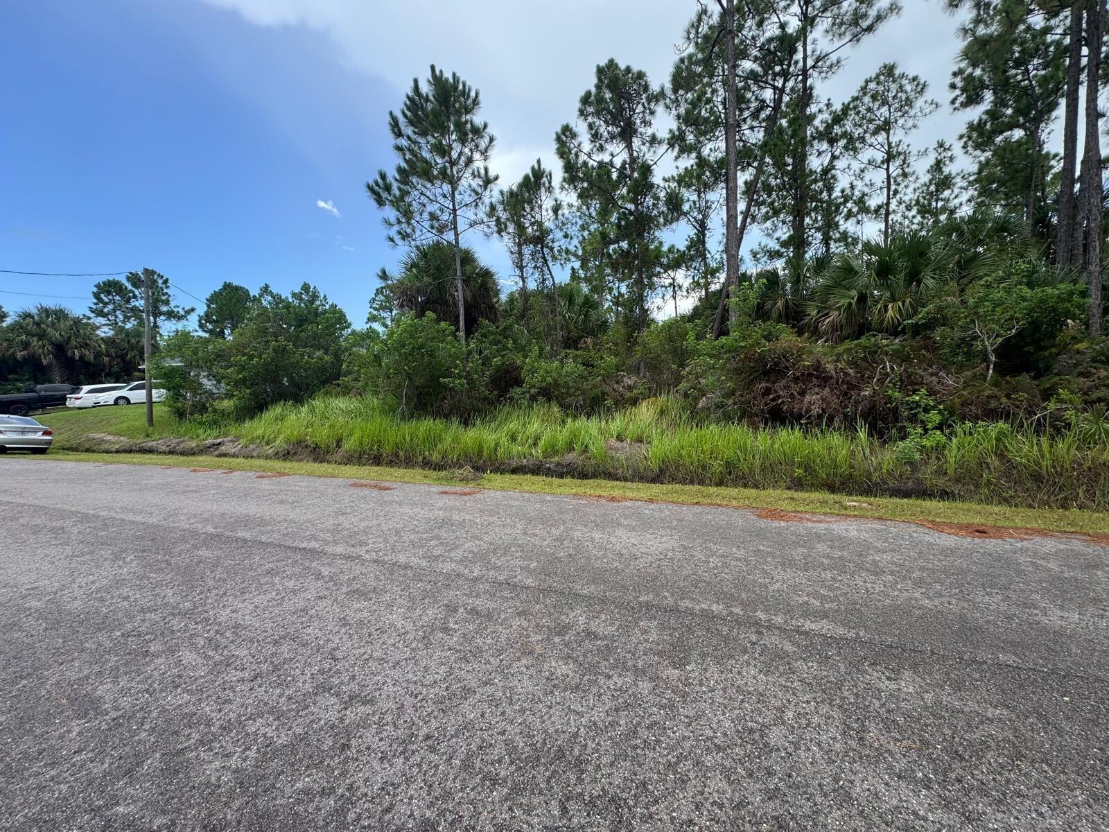 Land in Palm Bay 5