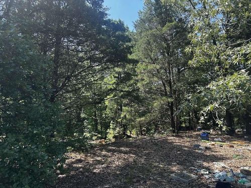 0 Victory School Rd, Avinger, TX, 75630 | Card Image