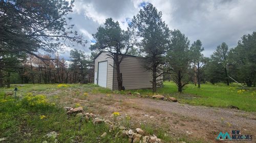 b-3s-56 El Caso Rd, Quemado, NM, 87829-9080 | Card Image