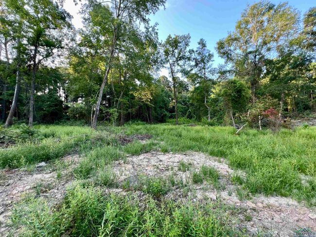 2735 Brandy Rd, Home with 0 bedrooms, 0 bathrooms and null parking in New Diana TX | Image 14